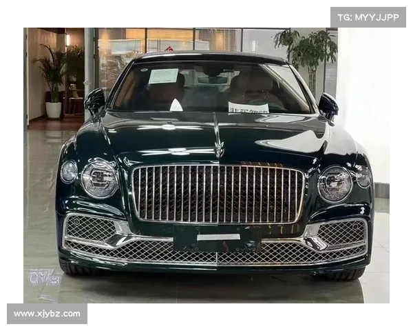 一个车标够套首付 这你敢信？ 新款宾利飞驰加装升降飞翼...